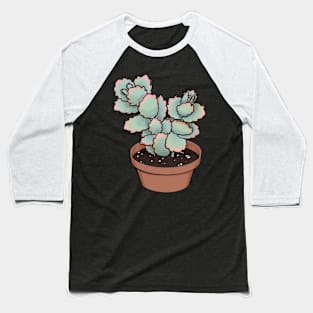 Lavender Scallops Kalanchoe Fedtschenkoi Succulent Sketch Baseball T-Shirt